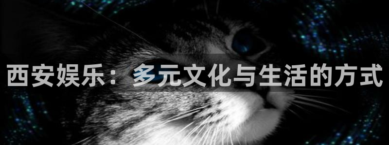 辉达官网首页登录入口